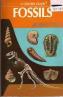 WT_fossilsgoldenguide.jpg (2568 bytes)